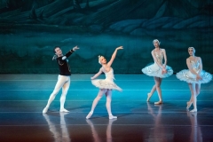 Swan Lake Act II