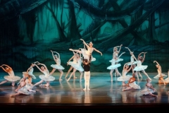 Swan Lake Act II