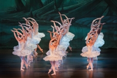 Swan Lake Act II