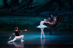 Swan Lake Act II