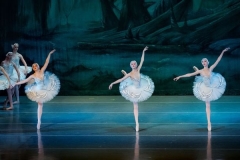 Swan Lake Act II