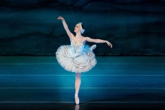 Swan Lake Act II