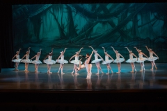 Swan Lake Act II