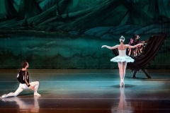 Swan Lake Act II