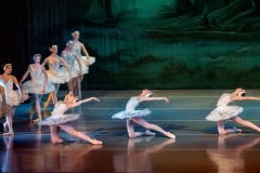 Swan Lake Act II