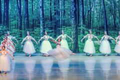 Les Sylphides