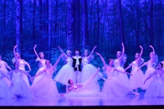 Les Sylphides