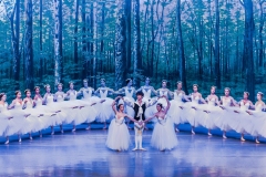 Les Sylphides