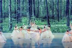 Les Sylphides