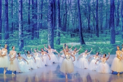 Les Sylphides