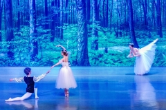 Les Sylphides