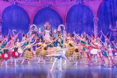 Houston Repertorie Ballet 2019 Nutcracker